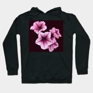 Pink Petunia Flowers Hoodie